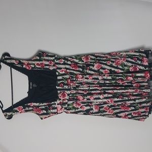 Hot Topic Goth romantic striped roses gothic garden party summer A-line dress